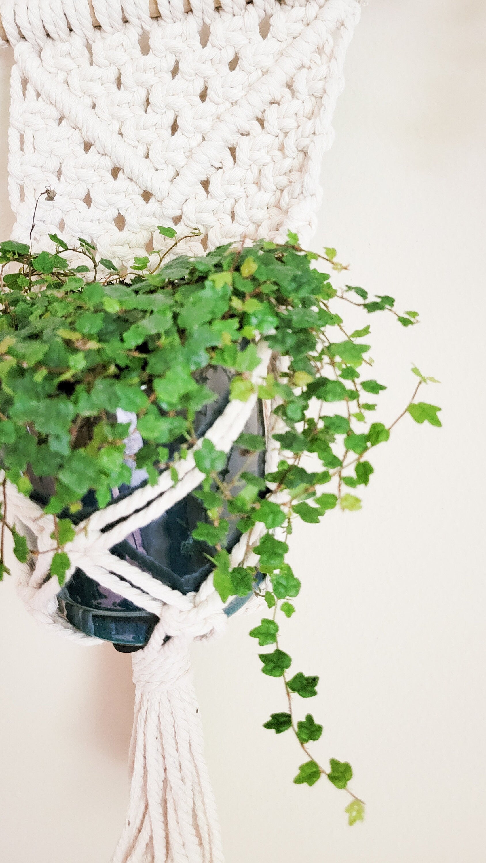 Macrame Plant Hanger, Wall Plant Hanger, Rope Plant Hanger, Set Of 2, Single Item, Macrame Plant Hanger Set, Plant Lover Gift, Gifts For Her