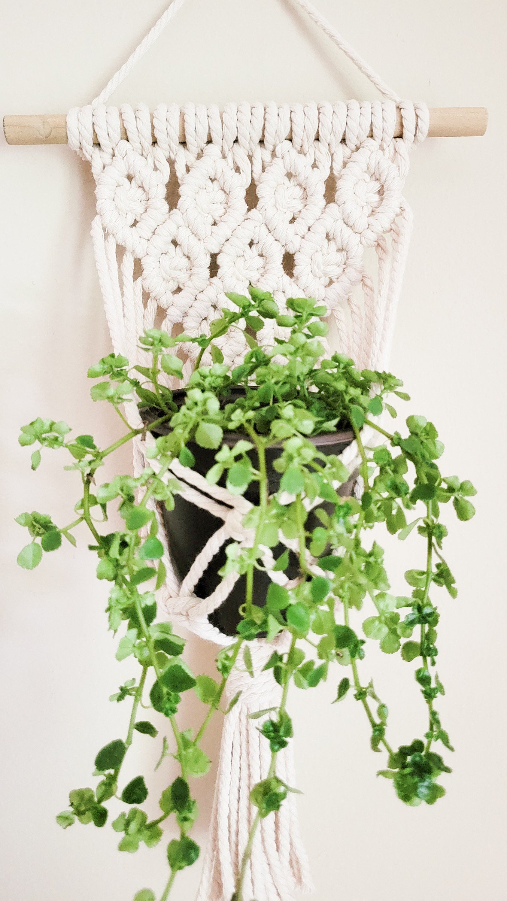 Macrame Plant Hanger, Wall Plant Hanger, Rope Plant Hanger, Set Of 2, Single Item, Macrame Plant Hanger Set, Plant Lover Gift, Gifts For Her