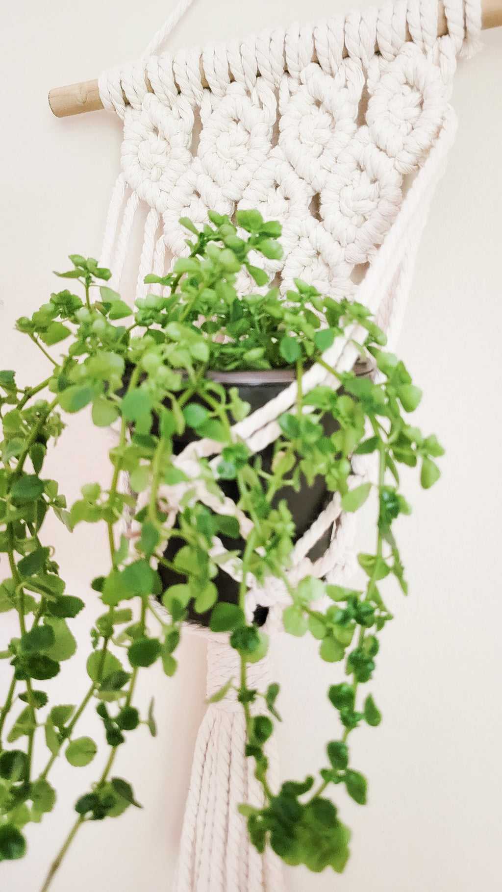 Macrame Plant Hanger, Wall Plant Hanger, Rope Plant Hanger, Set Of 2, Single Item, Macrame Plant Hanger Set, Plant Lover Gift, Gifts For Her