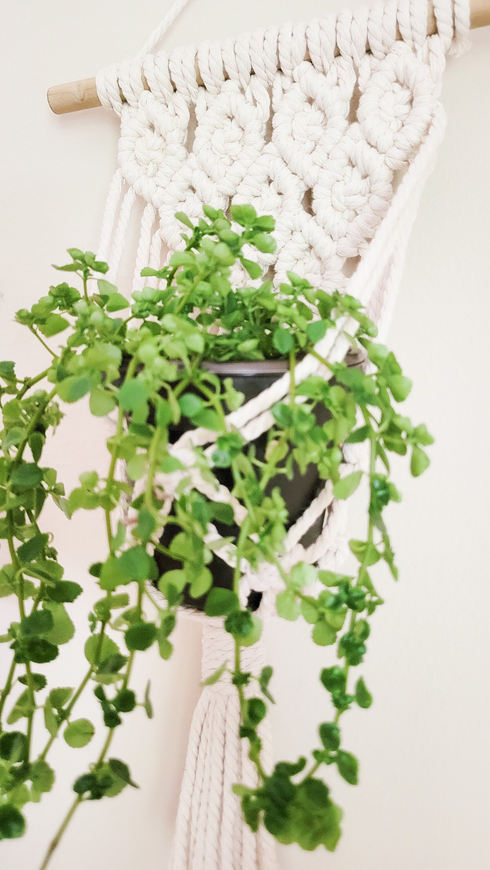 Macrame Plant Hanger, Wall Plant Hanger, Rope Plant Hanger, Set Of 2, Single Item, Macrame Plant Hanger Set, Plant Lover Gift, Gifts For Her