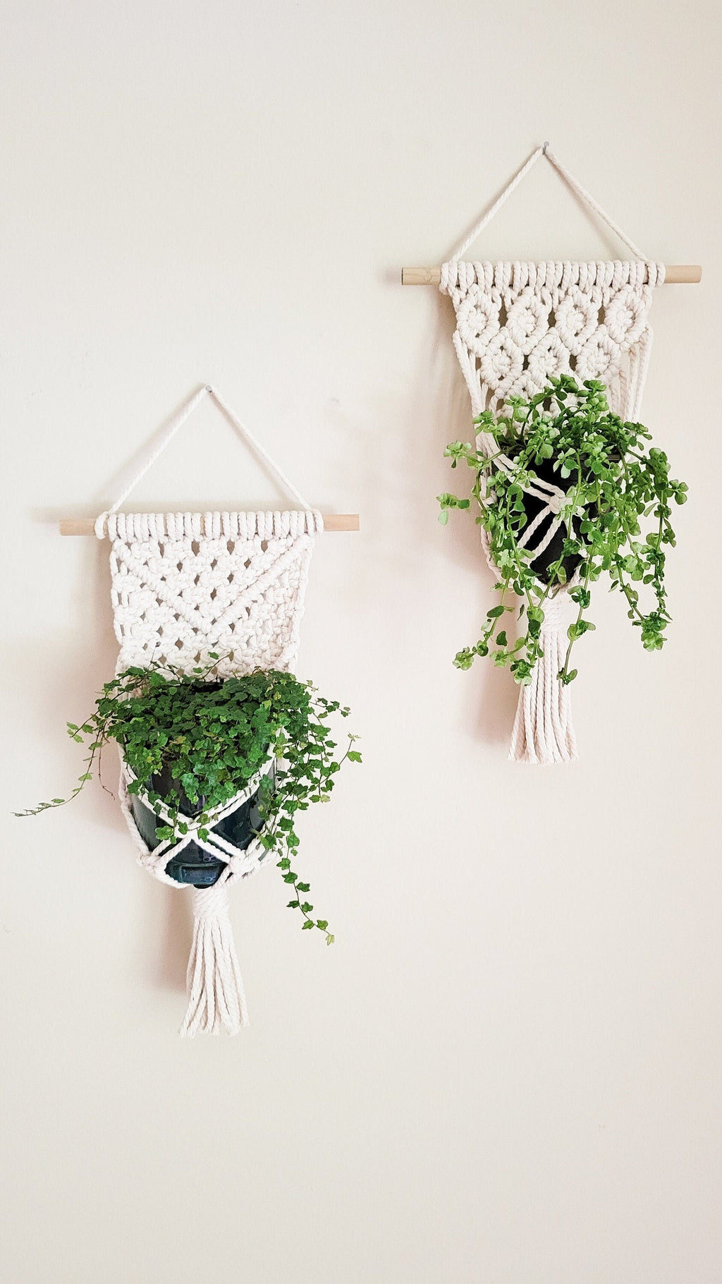 Macrame Plant Hanger, Wall Plant Hanger, Rope Plant Hanger, Set Of 2, Single Item, Macrame Plant Hanger Set, Plant Lover Gift, Gifts For Her