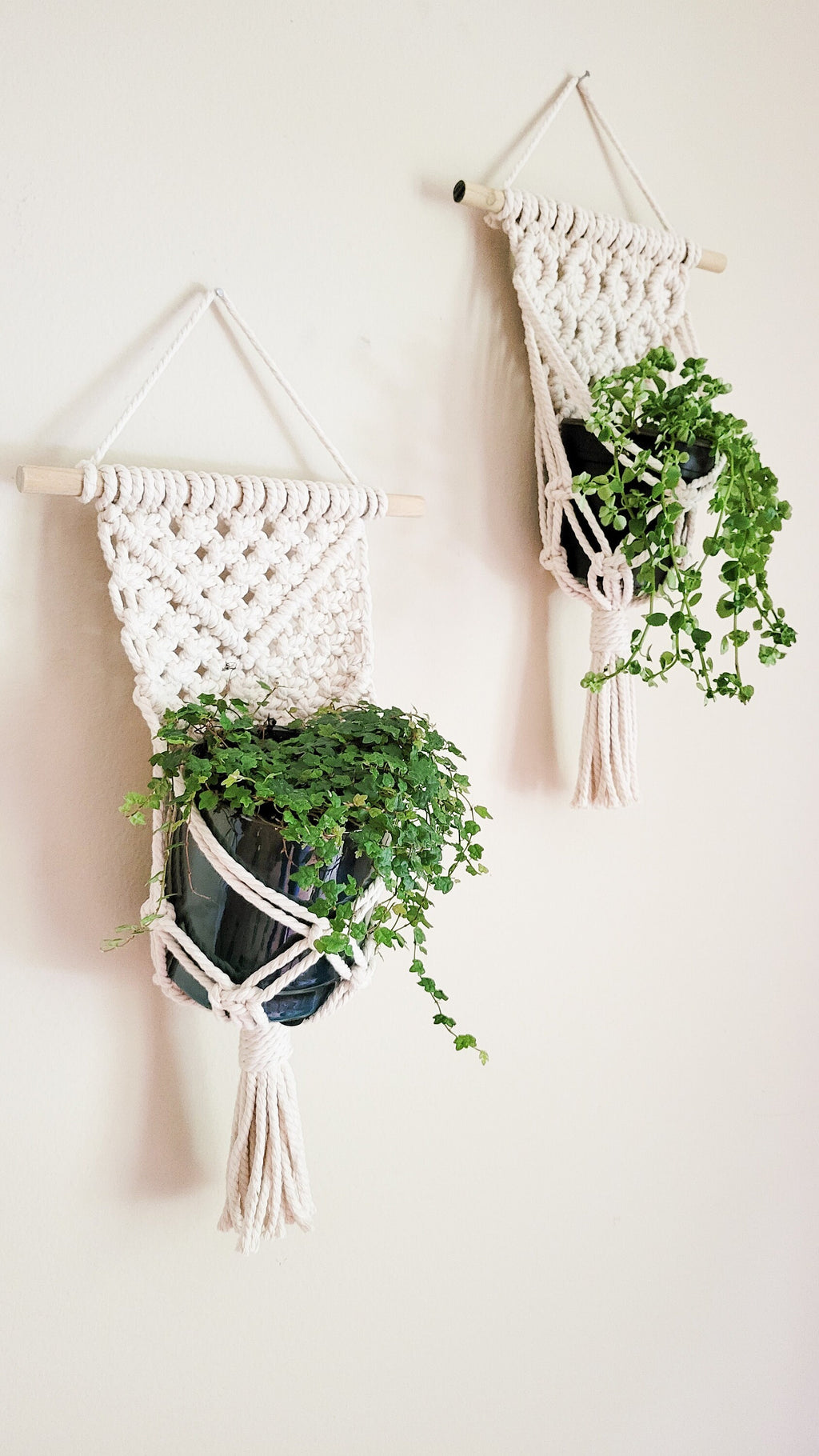 Macrame Plant Hanger, Wall Plant Hanger, Rope Plant Hanger, Set Of 2, Single Item, Macrame Plant Hanger Set, Plant Lover Gift, Gifts For Her