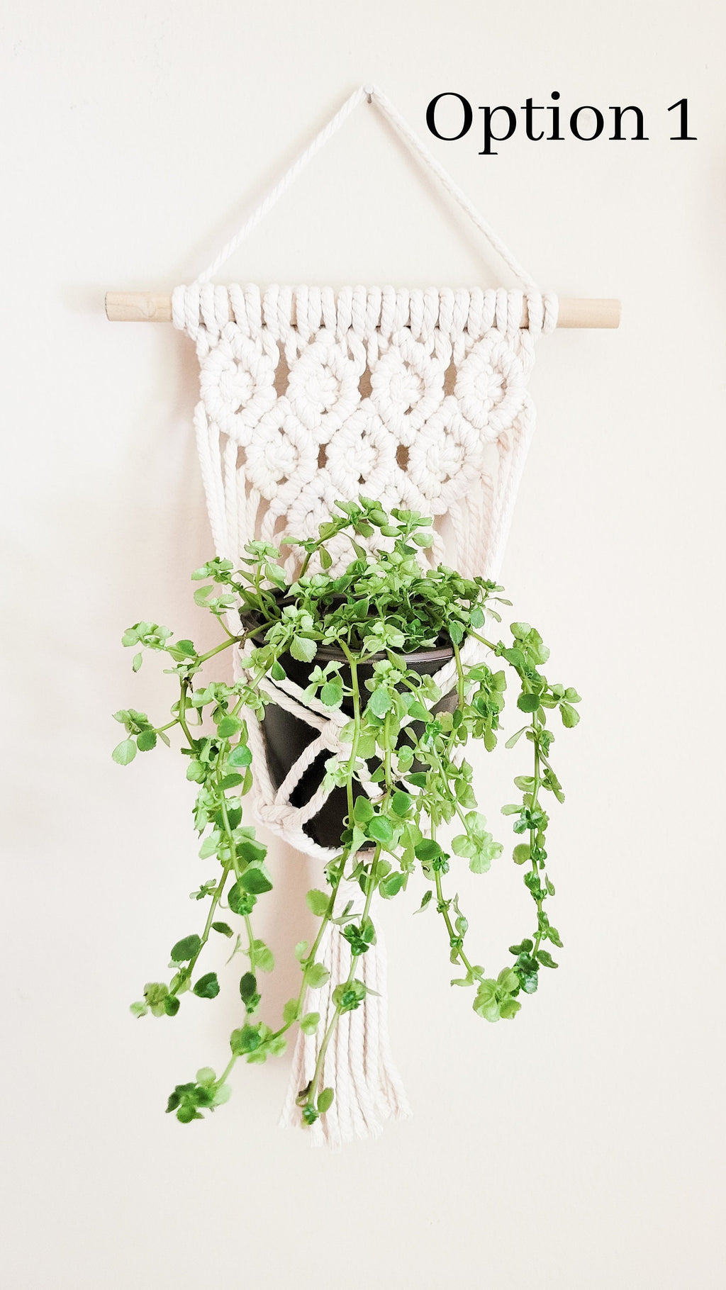 Macrame Plant Hanger, Wall Plant Hanger, Rope Plant Hanger, Set Of 2, Single Item, Macrame Plant Hanger Set, Plant Lover Gift, Gifts For Her