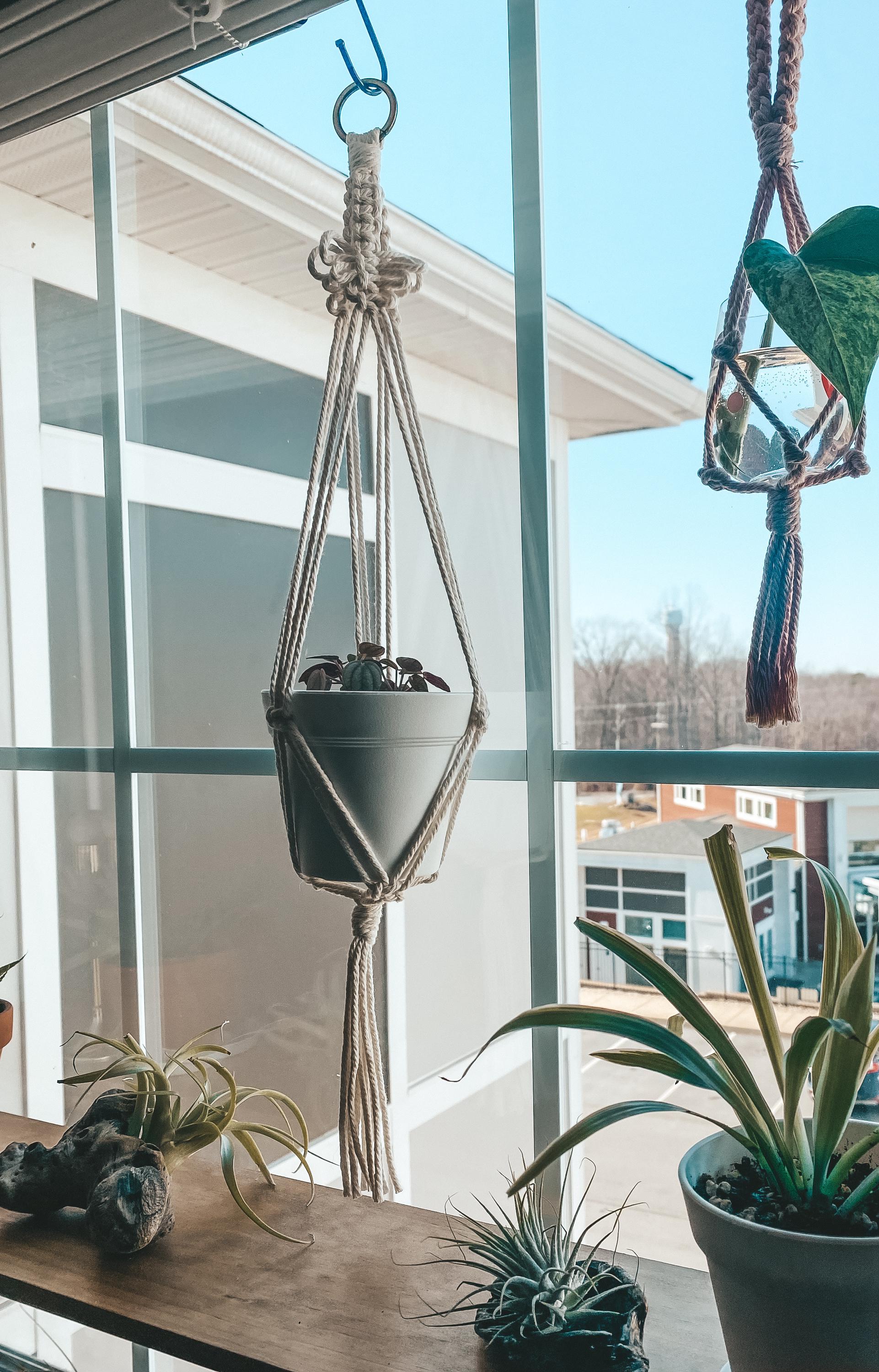 Macrame Terrarium Plant Hanger With Optional Terrarium Globe Included