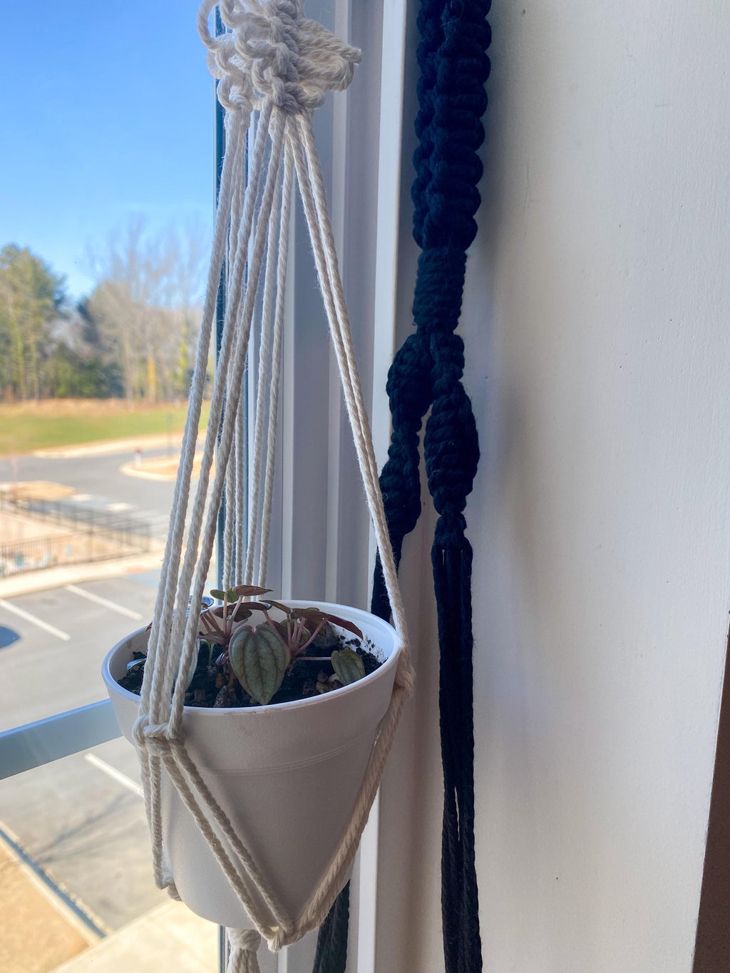 Macrame Terrarium Plant Hanger With Optional Terrarium Globe Included