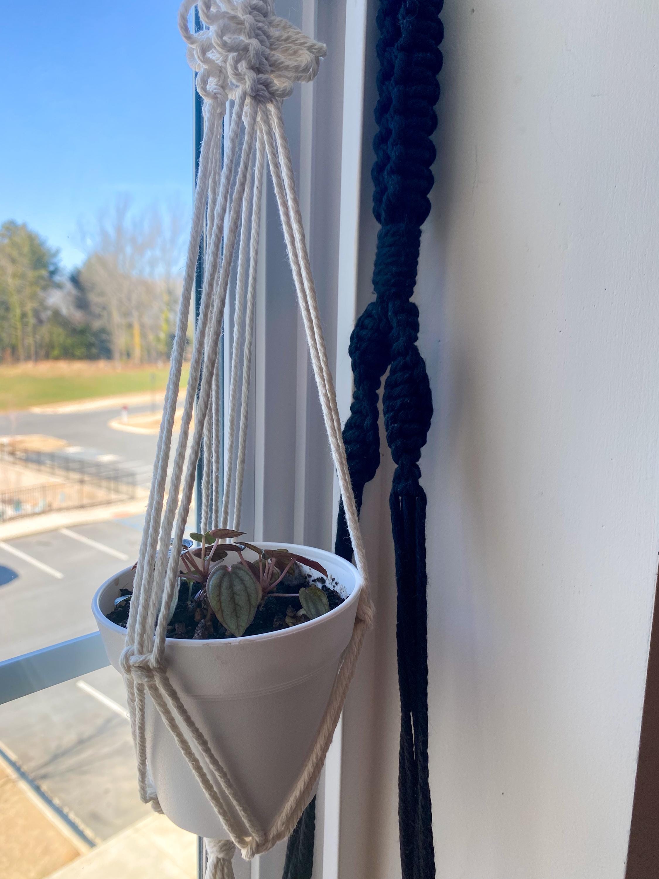Macrame Terrarium Plant Hanger With Optional Terrarium Globe Included